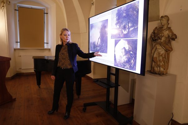 Galeria Dąmbskich - wykład